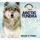 Arctic tundra /
