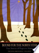 Bound for the North Star : true stories of fugitive slaves /