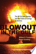 Blowout in the Gulf : the BP oil spill disaster and the future of energy in America /