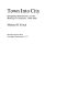 Town into city; Springfield, Massachusetts, and the meaning of community, 1840-1880