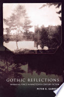 Gothic reflections narrative force in nineteenth-century fiction /