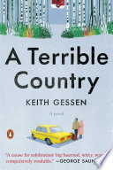 A terrible country : a novel /