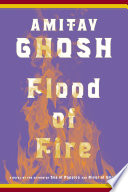 Flood of fire : a novel /