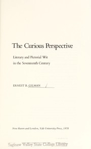 The curious perspective : literary and pictorial wit in the seventeenth century /
