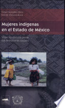 Mujeres indígenas en el Estado de México : vidas conducidas desde sus instituciones sociales /