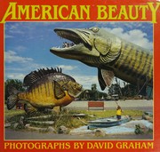 American Beauty : photographs /