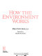 How the environment works /