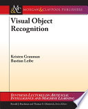 Visual object recognition /