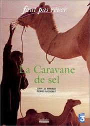 La caravane de sel /