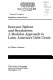 Between bailout and breakdown : a modular approach to Latin America's debt crisis /