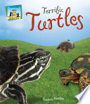 Terrific turtles /