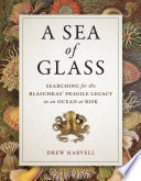 A sea of glass : searching for the Blaschkas' fragile legacy in an ocean at risk /