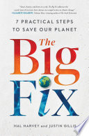 The big fix : 7 practical steps to save our planet /