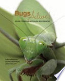 Bugs alive : a guide to keeping Australian invertebrates /