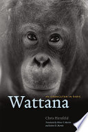 Wattana, an orangutan in Paris /