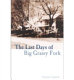 The last days of Big Grassy Fork /