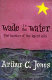Wade in the water : the wisdom of the spirituals /