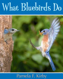 What bluebirds do /