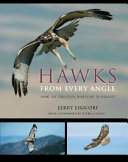 Hawks from every angle : how to identify raptors in flight /