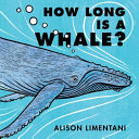 How long is a whale? /