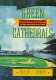 Green cathedrals : the ulimate celebration of all 271 major league and Negro league ballparks past and present /