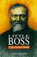 Little Boss : a life of Andrew Carnegie /