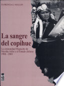 La sangre del copihue : la comunidad Mapuche de Nicolás Ailío y el estado chileno, 1906-2001 /