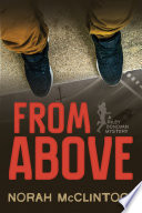 From Above : a Riley Donovan mystery.