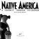 Dolls & toys of Native America : a journey through childhood /