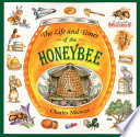 The life and times of the honeybee /