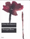 Elisa Montessori : Shangai Blues /