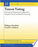 Tensor voting : a perceptual organization approach to computer vision and machine learning /