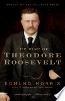 The rise of Theodore Roosevelt /