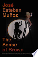 The sense of brown : ethnicity, affect and performance /