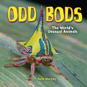 Odd bods : the world's unusual animals /