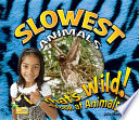 Slowest animals /