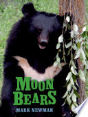 Moon bears /