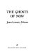 The ghosts of now /