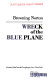 Wreck of the blue plane /