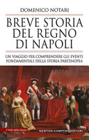 Breve storia del Regno di Napoli : un viaggio per comprendere gli eventi fondamentali della storia partenopea /