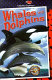 Whales and dolphins /