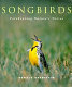 Songbirds : celebrating nature's voices /