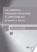 La libertad vigilada aplicada a ¿imputables? : presente y futuro /