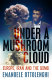 Under a mushroom cloud : Europe, Iran and the bomb /