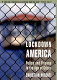 Lockdown America : police and prisons in the age of crisis /