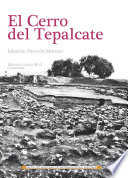 El Cerro del Tepalcate /