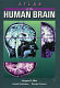 Atlas of the human brainstem /