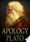 Apology /