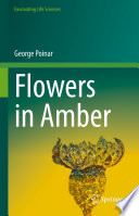 Flowers in amber /