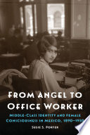 From angel to office worker : middle-class identity and female consciousness in Mexico, 1890-1950 /